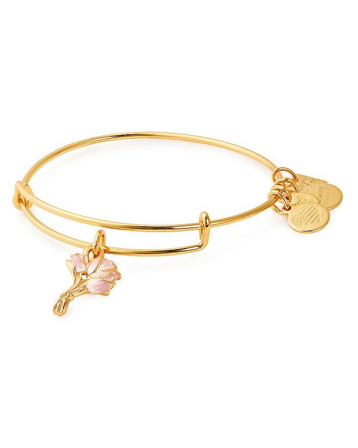 Bloomingdales alex and ani sale