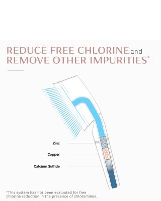 Source Shower Filter Hand-Held