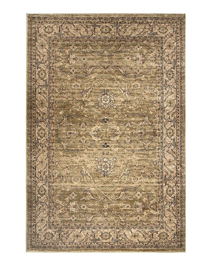 Palmetto Living Aria Ansley Area Rug, 7'8 X 10'10 In Green