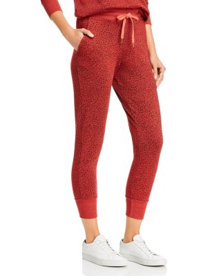 sundry star sweatpants