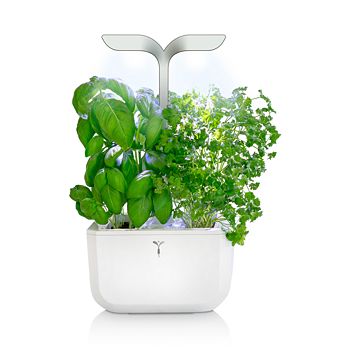 Veritable Exky Smart Indoor Garden Bloomingdale S