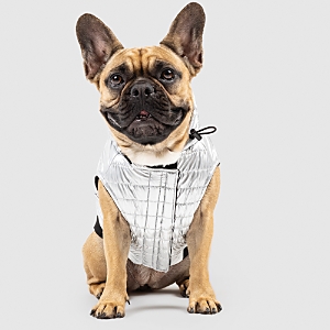 Canada Pooch Shiny Puffer Dog Vest, Size 14