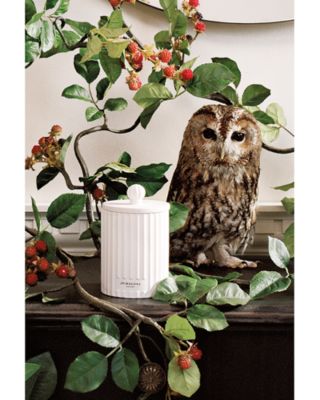 Wild Berry & Bramble Candle