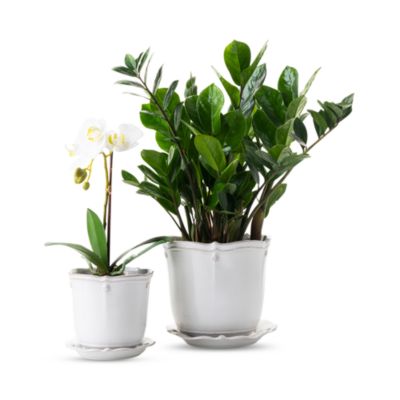 Berry & Thread 7" Planter with Saucer