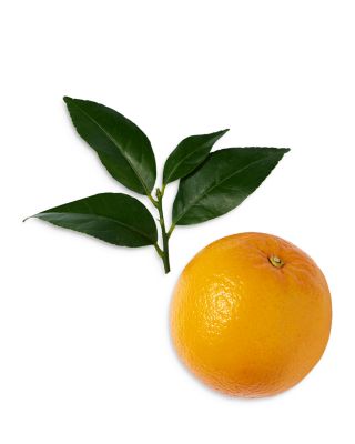 Miracle Eau de Parfum 3.4 oz.