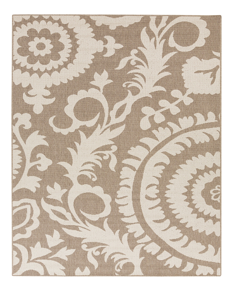 Surya Alfresco Alf D Area Rug, 3'7 X 5'7 In Camel
