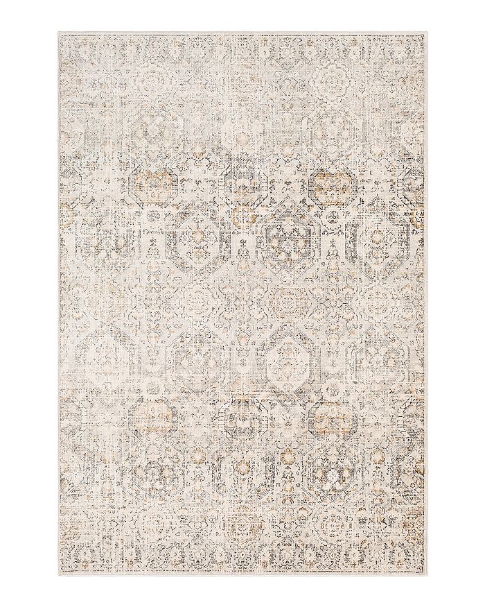 Surya Indigo Igo-2306 Area Rug, 8'10 X 12' In Light Gray