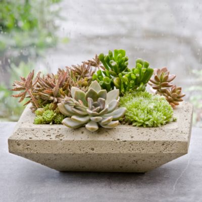 CAMPANIA INTERNATIONAL - Nyssa Planter