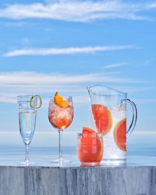 Isabella Acrylic Stemless Wine Glass