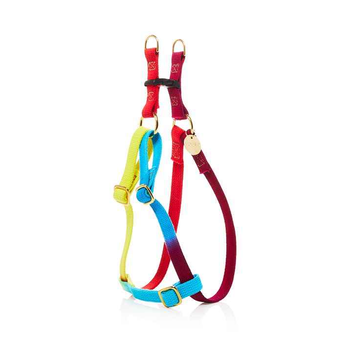 Found dog harness 2025