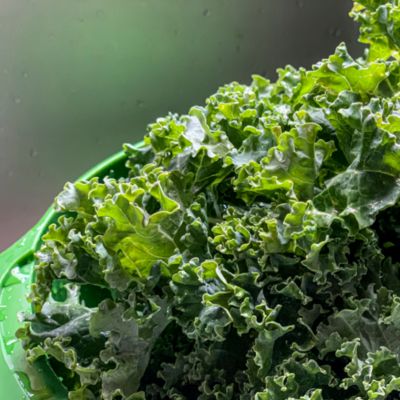 2 in 1 Kale and Herb Tool