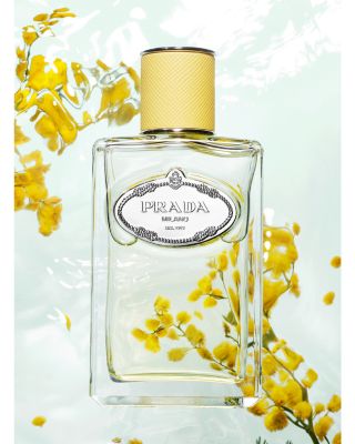 Prada Les Infusions Mimosa Eau de Parfum | Bloomingdale's