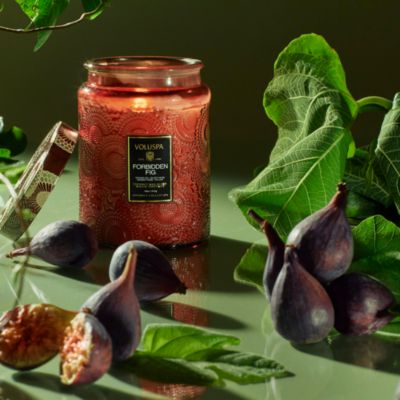 Forbidden Fig Large Jar Candle 18 oz.