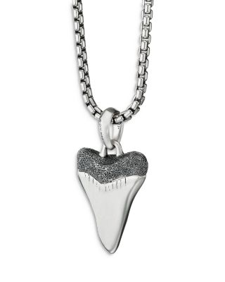 Shark's Tooth Amulet