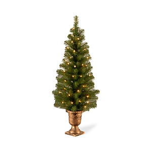 National Tree Company 4 Ft. Montclair Spruce Lighted Entrance Tree In Green