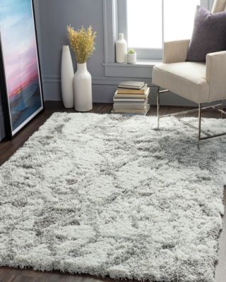 Alta Shag ASG-2302 Area Rug, 2' x 3'