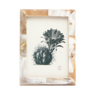 Essen Horn Frame, 5" x 7"