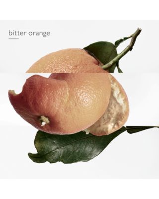 Eau des Merveilles Eau de Toilette Spray 3.3 oz.