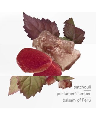 Eau des Merveilles L'Ambre des Merveilles Eau de Parfum 3.3 oz.