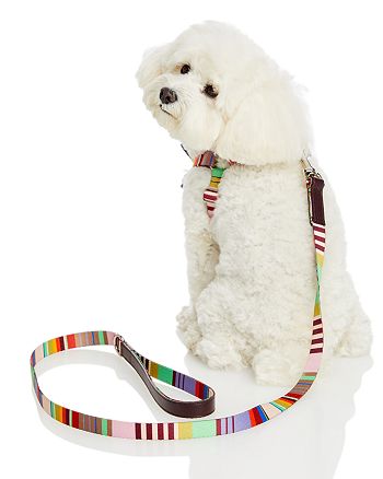 Ware of the Dog Striped Leash | Bloomingdale's