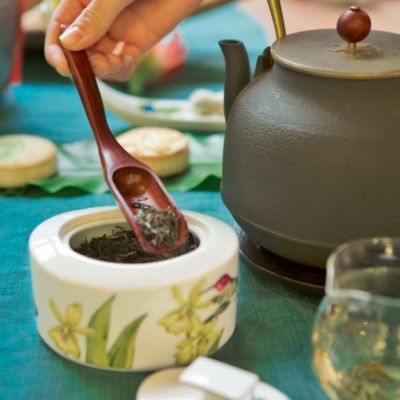 Amazonia Covered Sugar