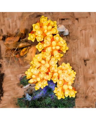 De Los Santos Eau de Parfum 1.6 oz.