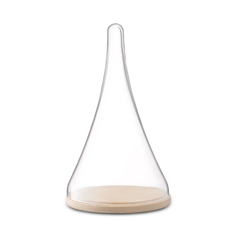 Lsa Glass Cloche Dome With Oak Base, 14 In Clear
