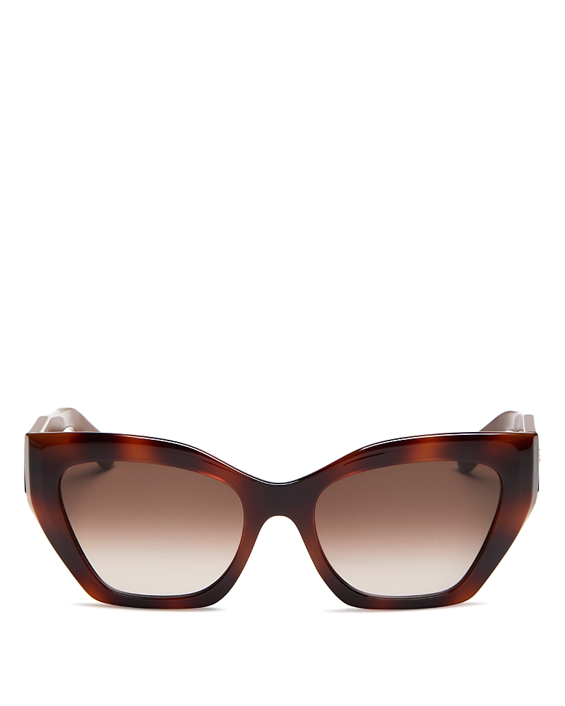 Ferragamo Gancio Acetate Cat-eye Sunglasses In Tortoise/brown Gradient