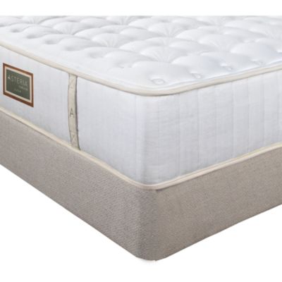 Luna Firm Mattress - Exclusive