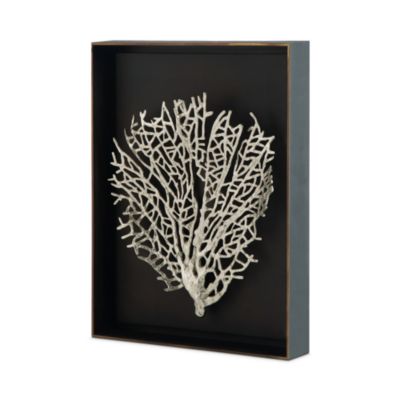 Fan Coral Shadow Box