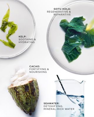 The Brilliant Overnight Recharge Cream