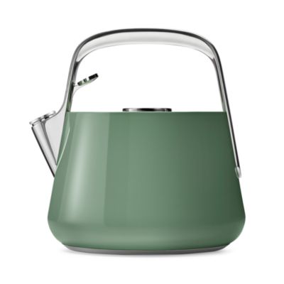 Stainless Steel Tea Kettle