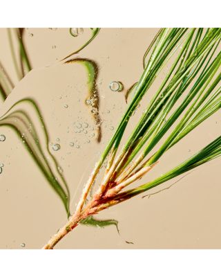 Superkind Daily Essentials Kit ($157 value)