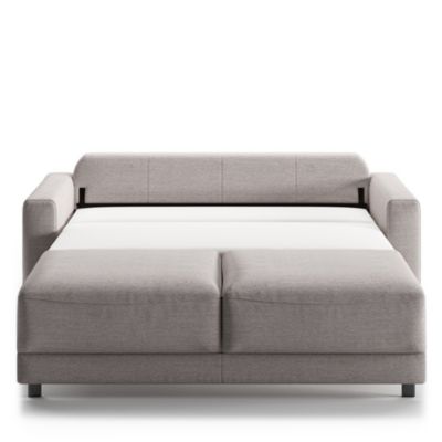 Belton Fabric Queen Sleeper Sofa