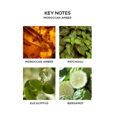 Wall Diffuser Refill, Moroccan Amber 