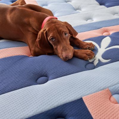 Reserve Duet Firm Mattress