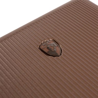 Earth Tones Carry On Spinner Suitcase