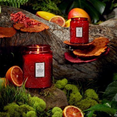 Goji Tarocco Orange Large Jar Candle 18 oz.
