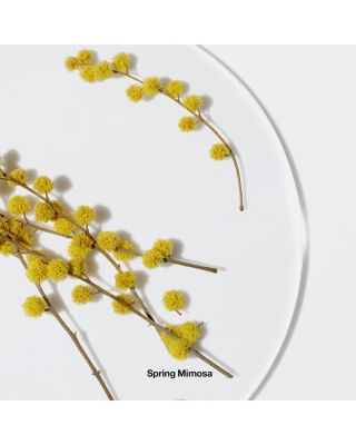 Happy™ Perfume Spray