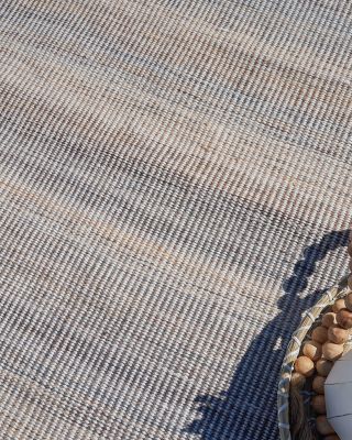 Lenzi ER4861 Area Rug, 4&#39; x 6&#39;