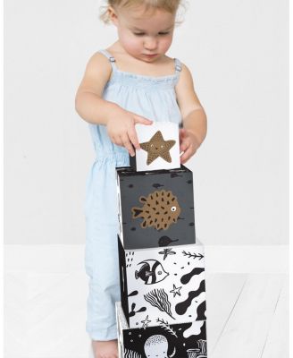 Ocean Explorer Bundle - Ages 2+