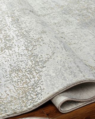 Livabliss Brunswick BWK-2328 Area Rug, 2&#39;7&amp;quot; x 4&#39;