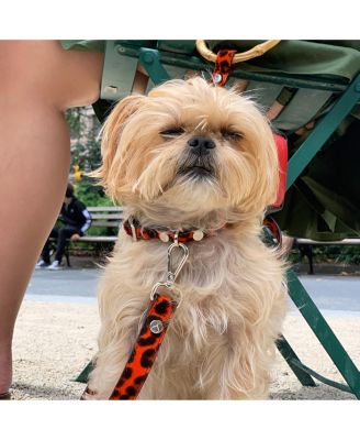 Small Red Leopard Leather Adjustable Dog Collar