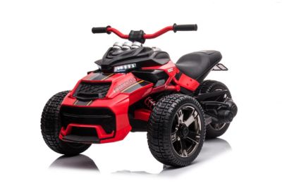 3 Wheel 24V 2-Seater Motorcycle Kids Ride on