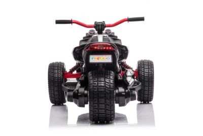 3 Wheel 24V 2-Seater Motorcycle Kids Ride on