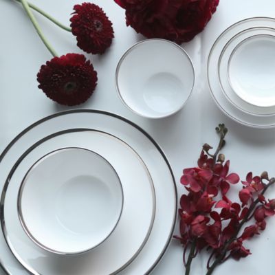 Platinum Edge Dinnerware Collection