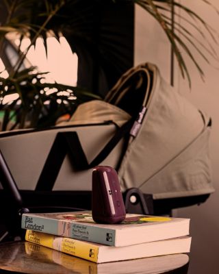 PIP12 Travel Monitor