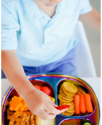  Unisex Balanced Bites Plates Pack of 4 - Ages 12 months+