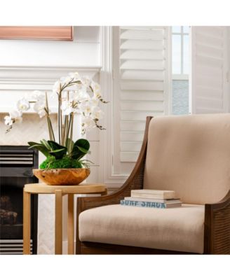  Phoenix Orchid in Wood Bowl