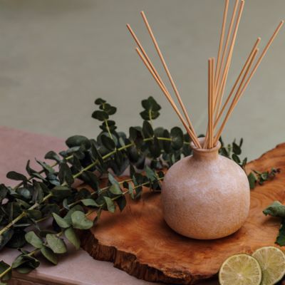 Focus, Eucalyptus &amp; Lime Large Diffuser